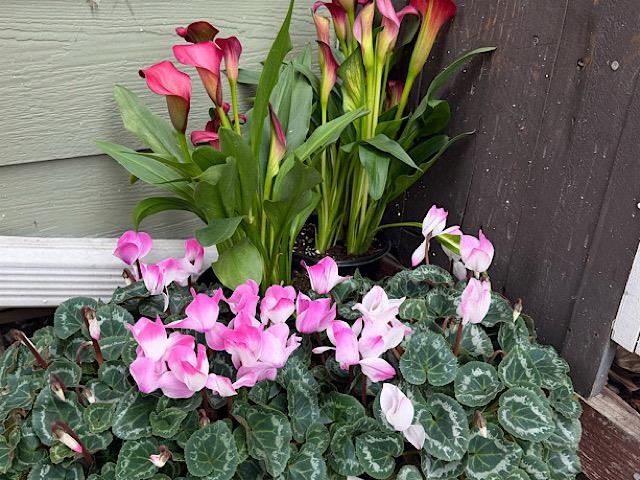 Detail Gallery Image 3 of 49 For 4706 San Pablo Dam Rd., El Sobrante,  CA 94803-3137 - 3 Beds | 1/1 Baths