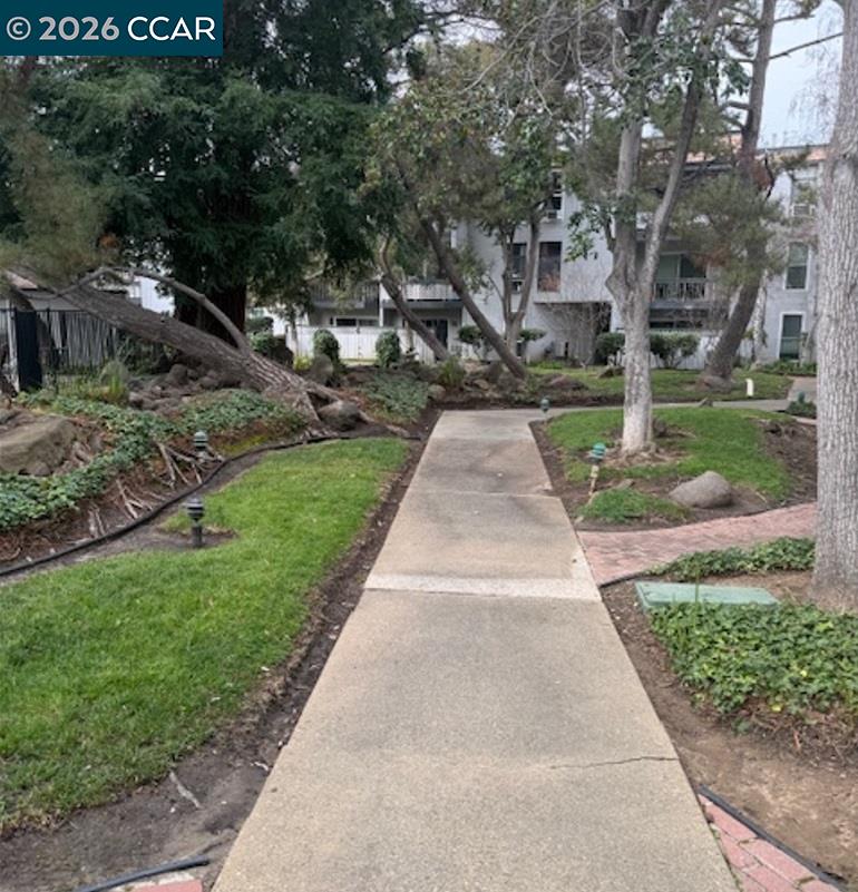 Photo #8: 41121619 Listing: Photo #8