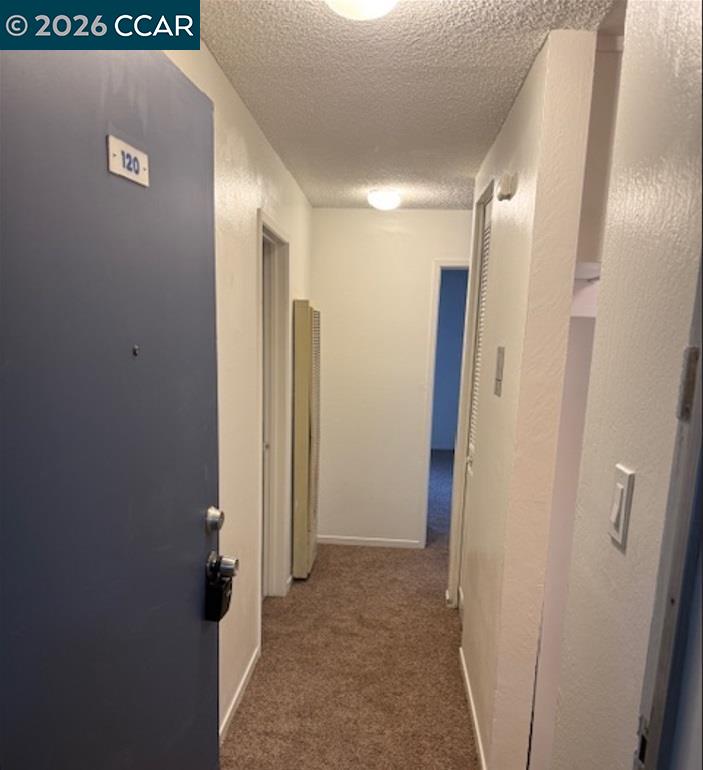 Photo #10: 41121619 Listing: Photo #10