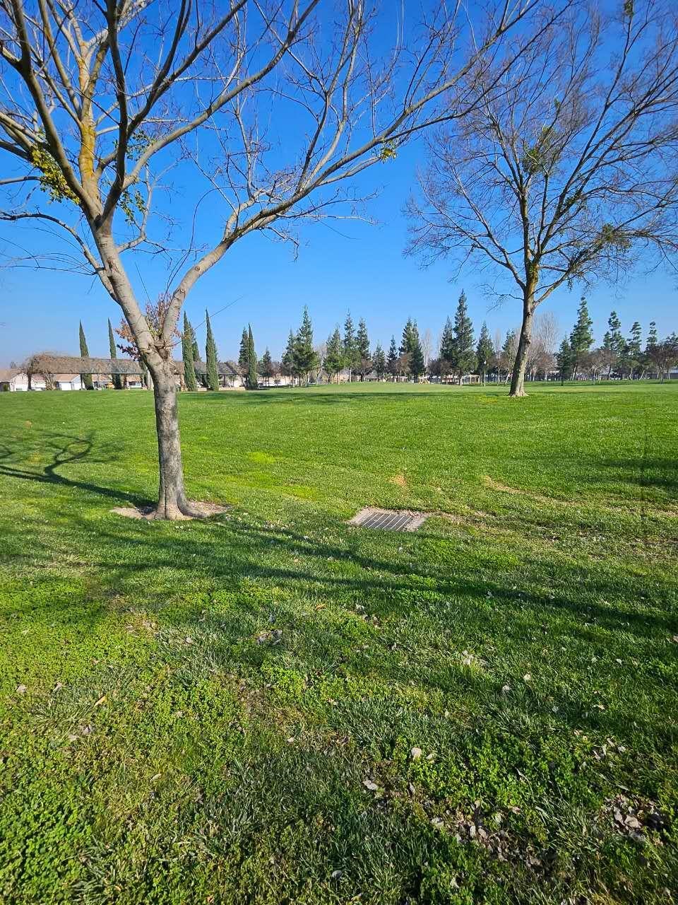 Detail Gallery Image 31 of 32 For 3005 Litt Rd, Modesto,  CA 95355 - 4 Beds | 2/1 Baths