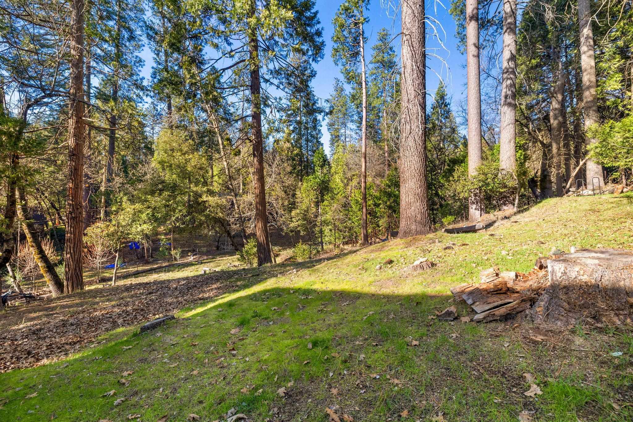 Detail Gallery Image 21 of 28 For 18824 Manzanita Dr, Twain Harte,  CA 95383 - 1 Beds | 1 Baths