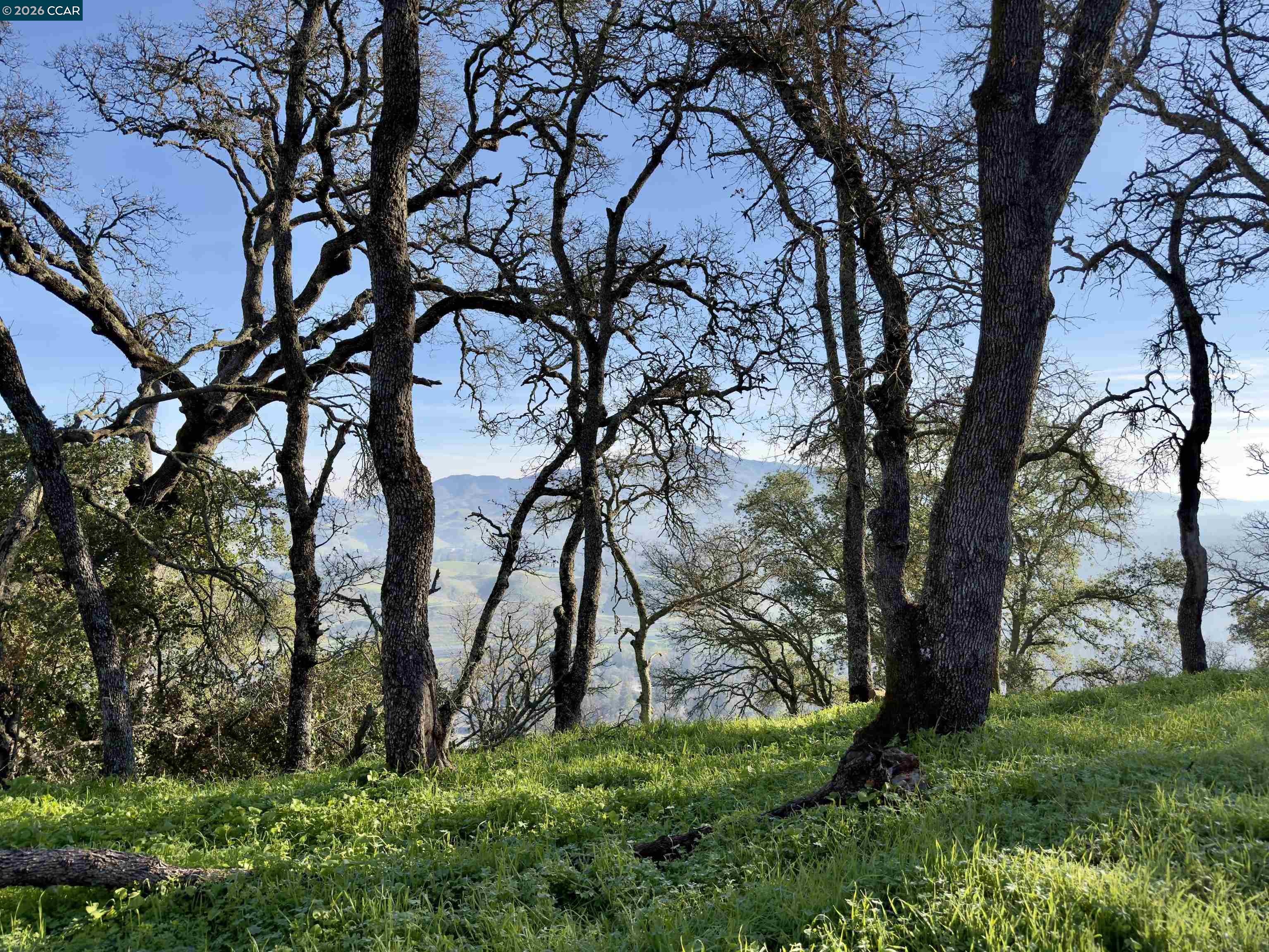 Detail Gallery Image 2 of 8 For 0 Castle Crest Rd, Alamo,  CA 94507 - – Beds | – Baths