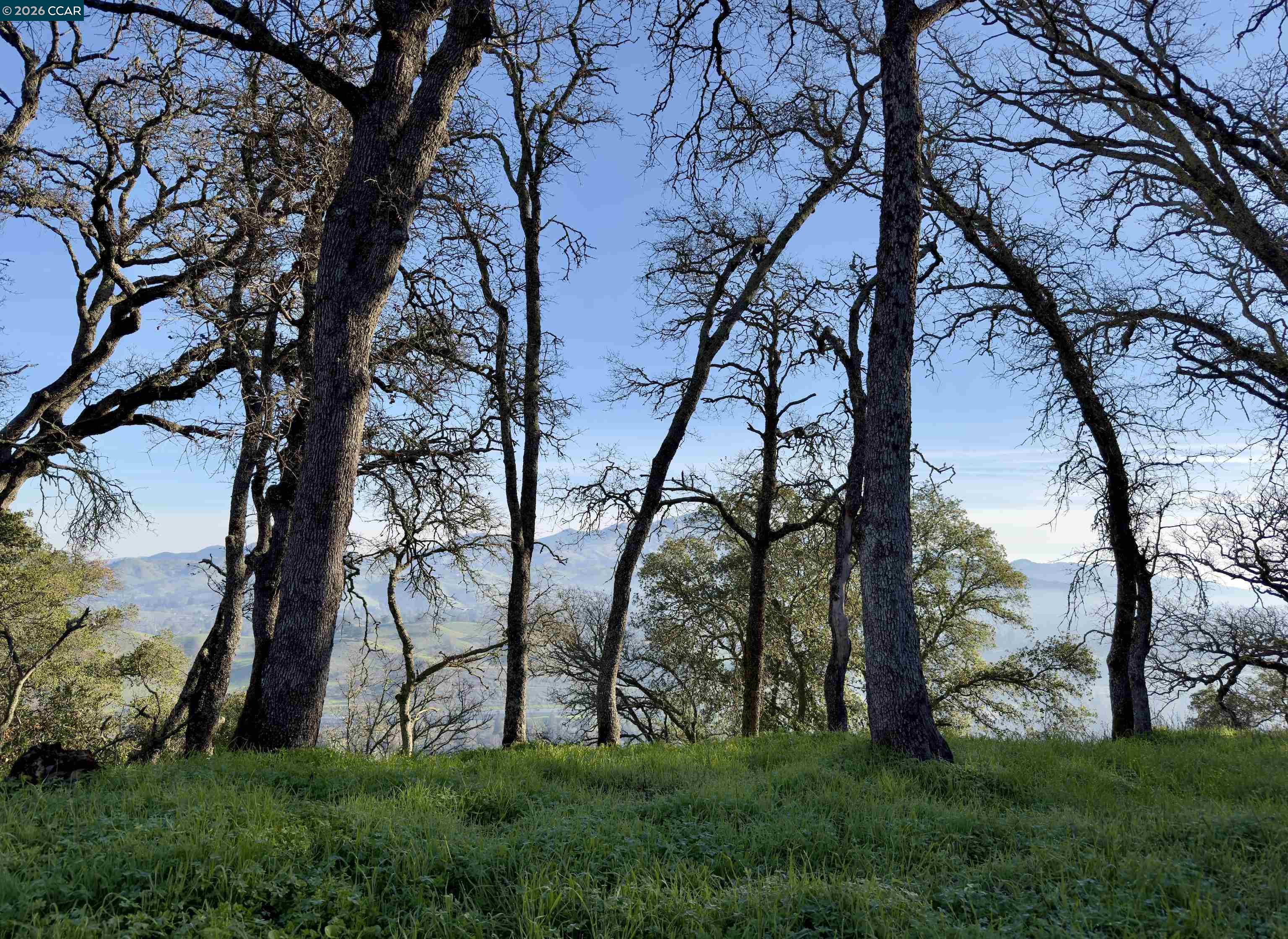 Detail Gallery Image 4 of 8 For 0 Castle Crest Rd, Alamo,  CA 94507 - – Beds | – Baths