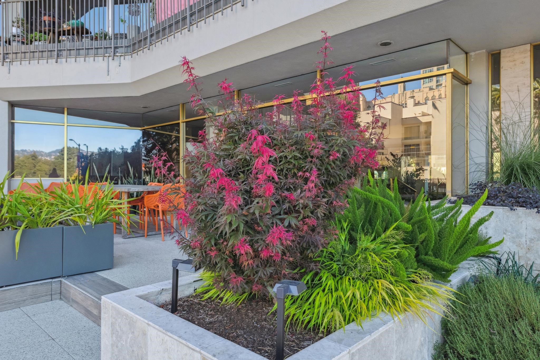 Photo #47: 41121736 Listing: Photo #47