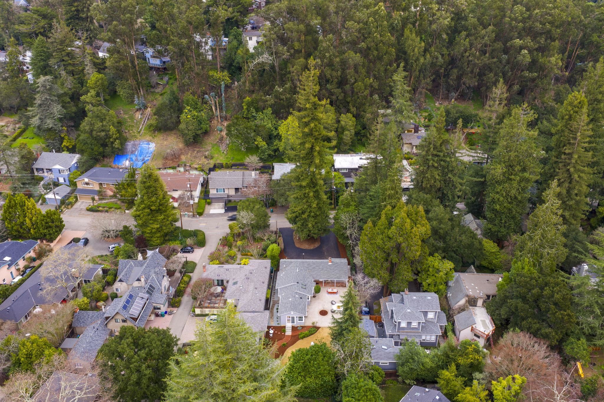 Detail Gallery Image 54 of 57 For 1509 Mountain Blvd, Oakland,  CA 94611 - 3 Beds | 2 Baths