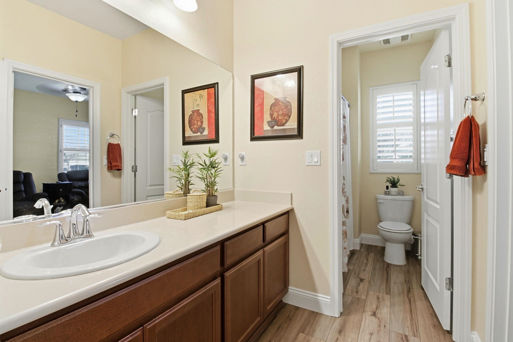 Detail Gallery Image 20 of 34 For 868 N San Remo Ln, Mountain House,  CA 95391 - 4 Beds | 2/1 Baths