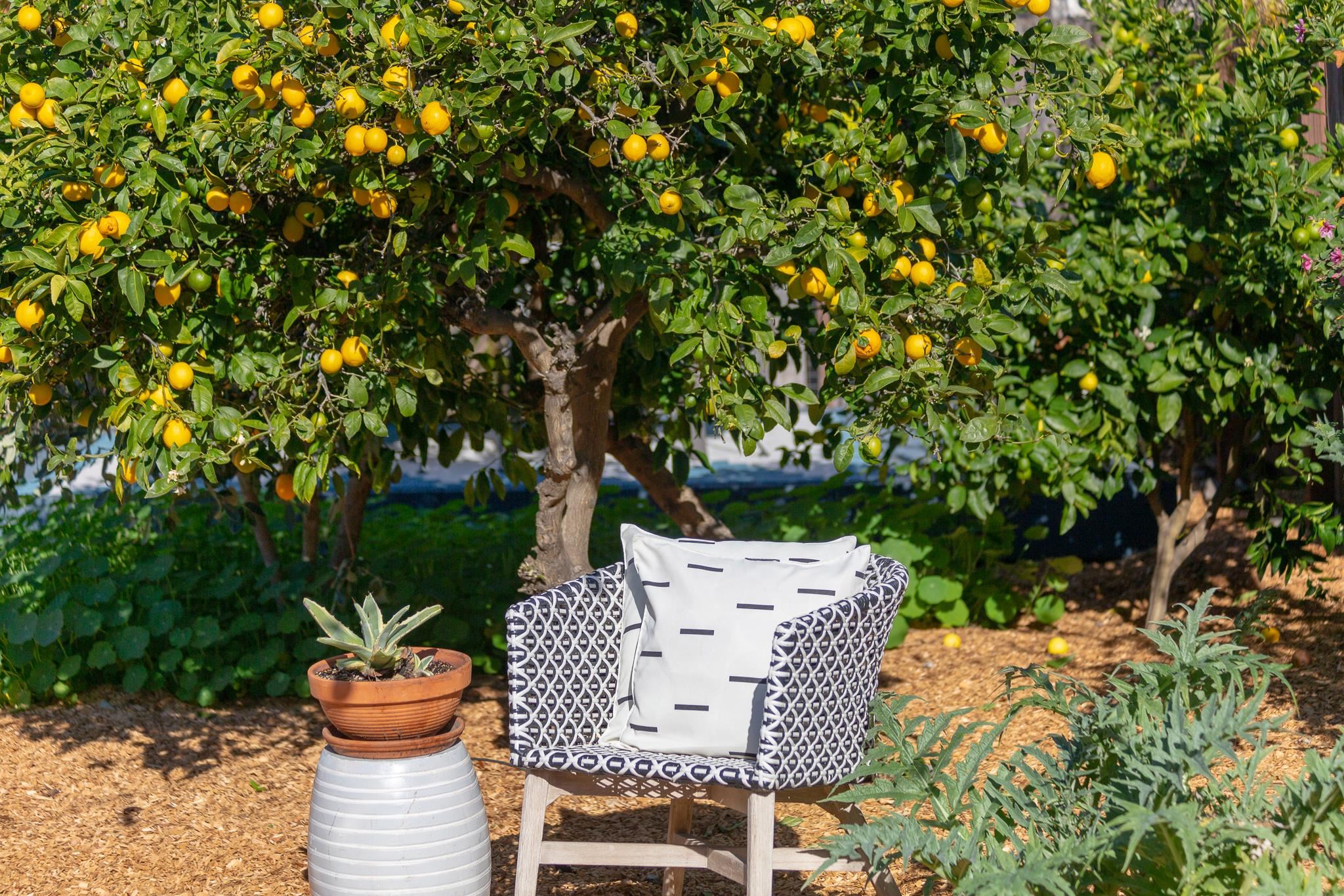 Detail Gallery Image 24 of 32 For 2009 Coalinga Ave, Richmond,  CA 94801 - 2 Beds | 1 Baths