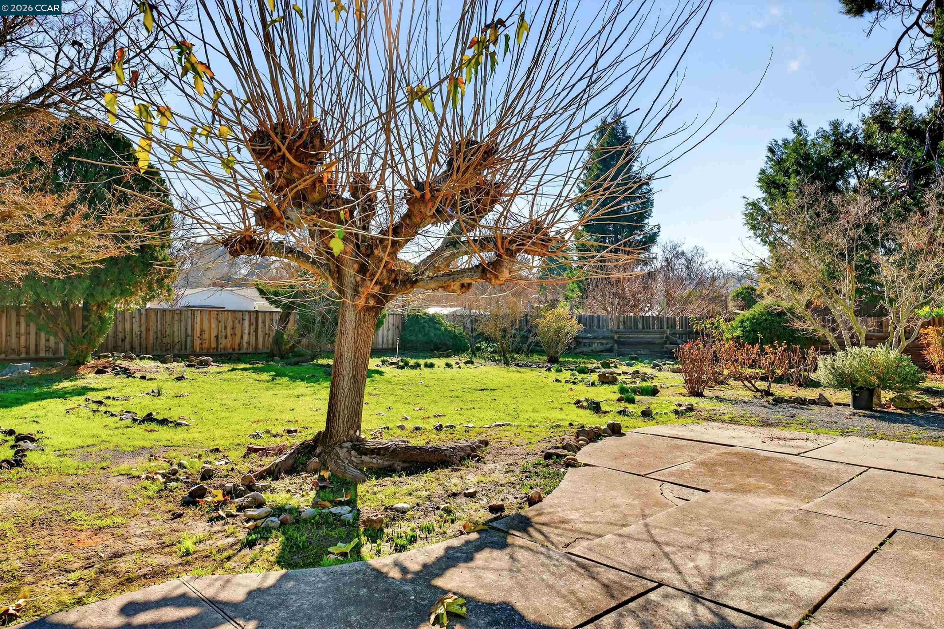 Detail Gallery Image 25 of 28 For 133 Sylvan Rd, Walnut Creek,  CA 94596 - 3 Beds | 1 Baths