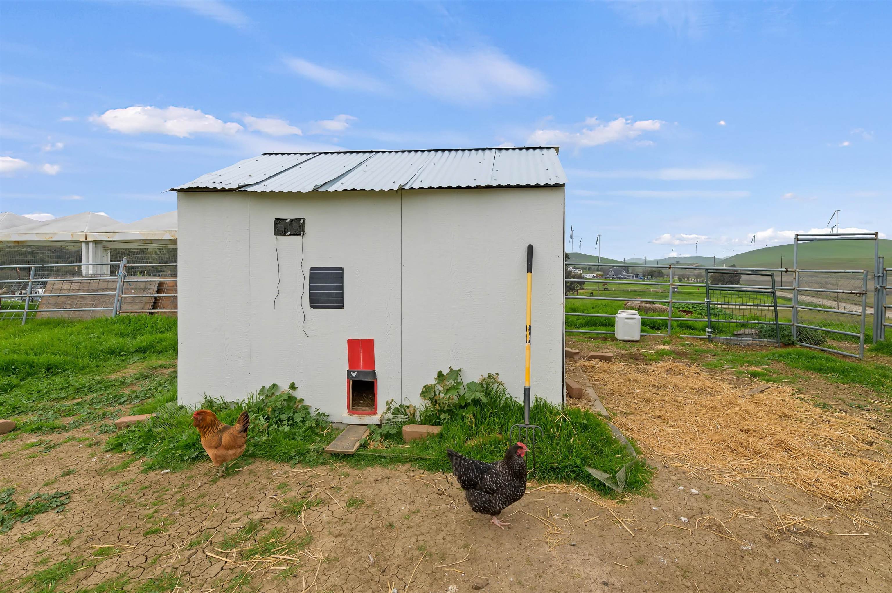 Detail Gallery Image 13 of 46 For 3326 Dyer Rd, Livermore,  CA 94551 - 6 Beds | 4 Baths