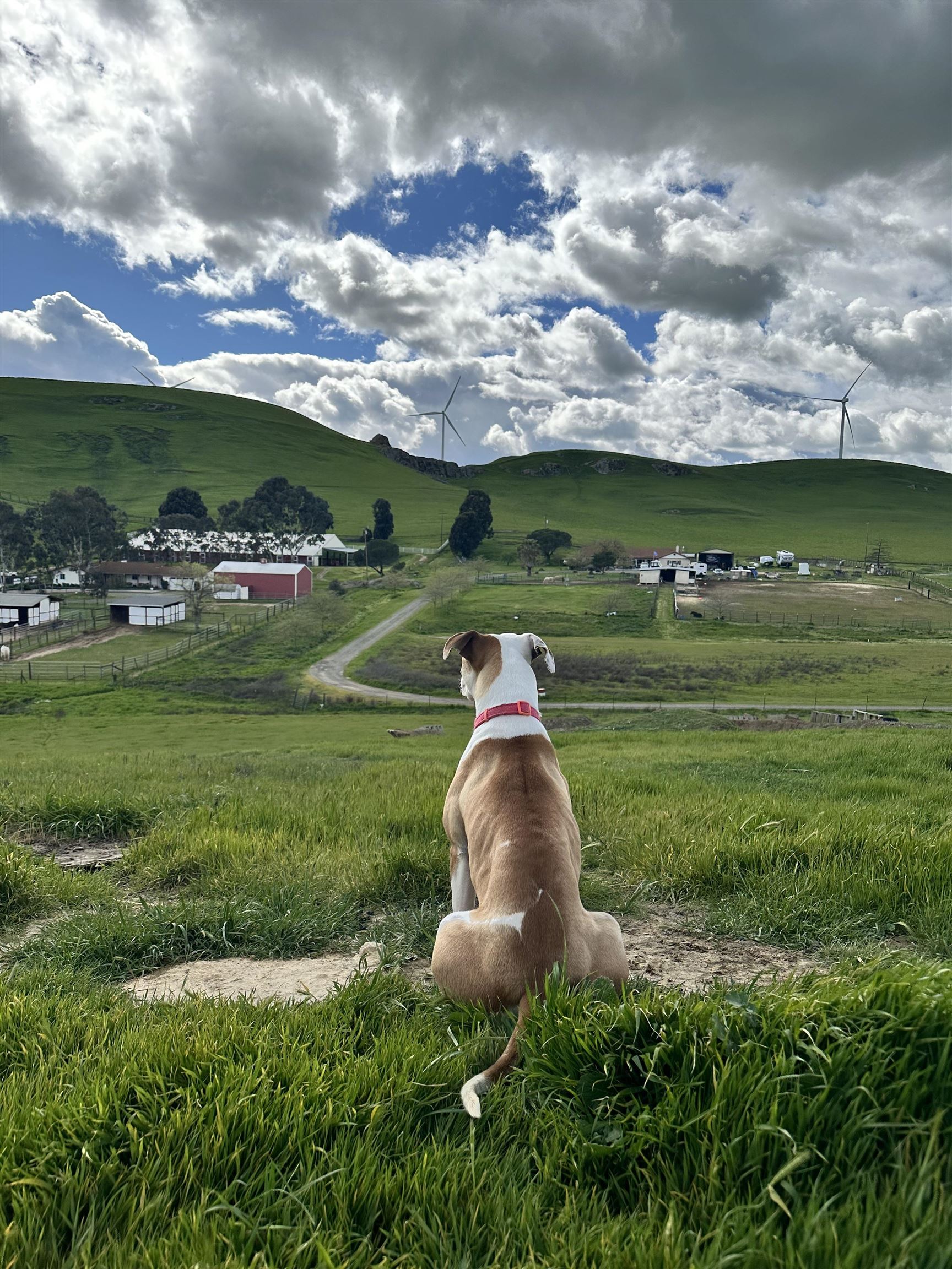 Detail Gallery Image 46 of 46 For 3326 Dyer Rd, Livermore,  CA 94551 - 6 Beds | 4 Baths