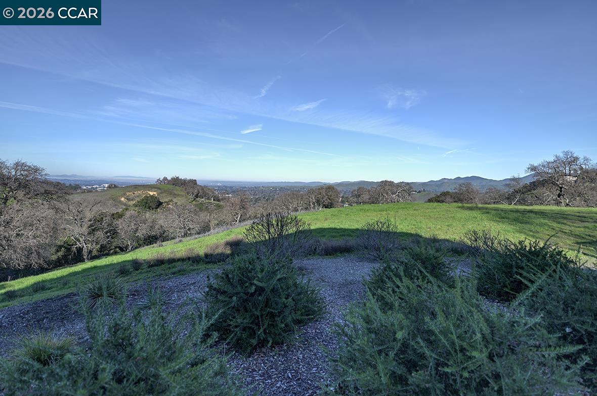 Photo #14: 41121813 Listing: Photo #14