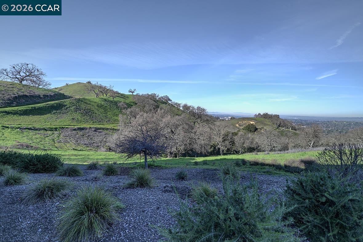 Photo #15: 41121813 Listing: Photo #15