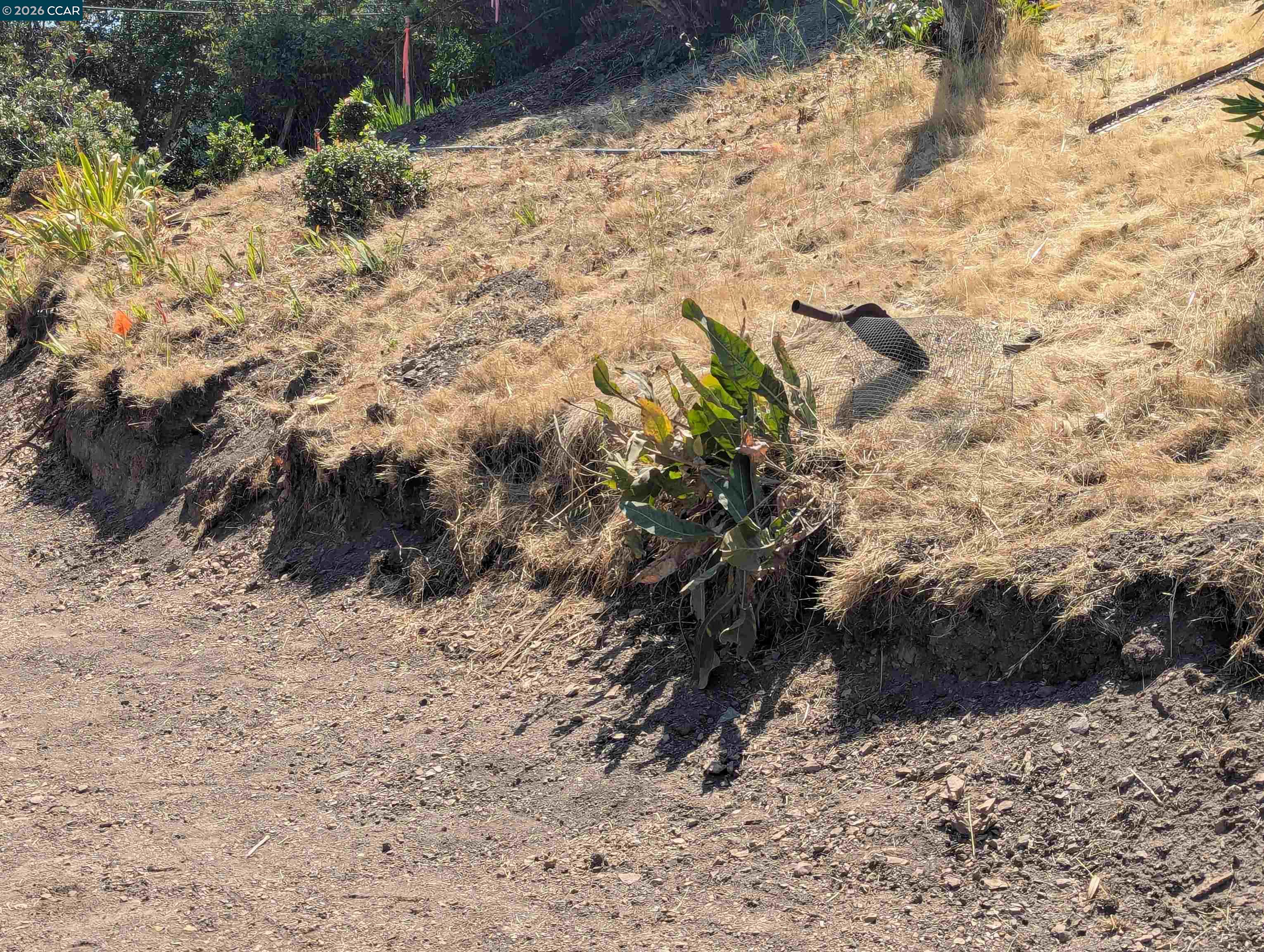 Detail Gallery Image 19 of 34 For 13 St James  Court, Orinda,  CA 94563 - – Beds | – Baths