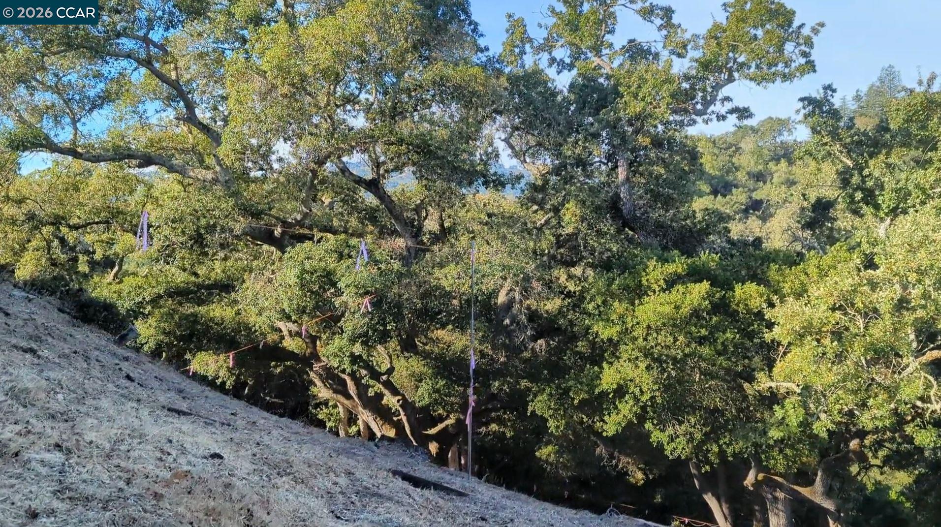 Detail Gallery Image 26 of 34 For 13 St James  Court, Orinda,  CA 94563 - – Beds | – Baths