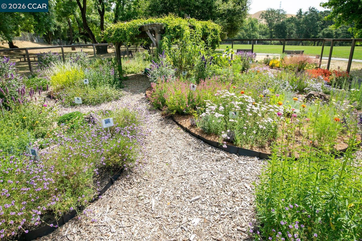 Photo #49: 41121850 Listing: Photo #49