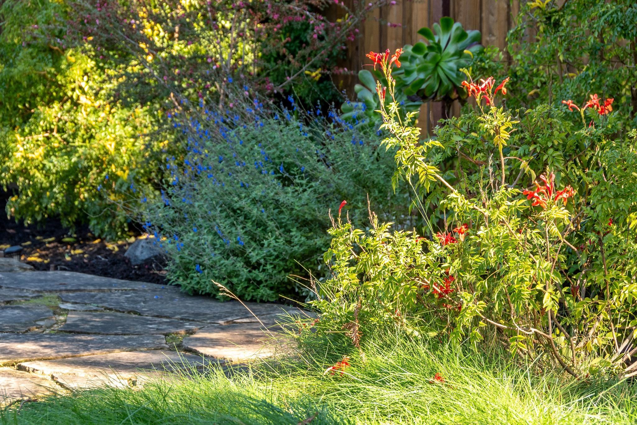 Detail Gallery Image 21 of 40 For 7607 Valentine St, Oakland,  CA 94605 - 2 Beds | 1/1 Baths