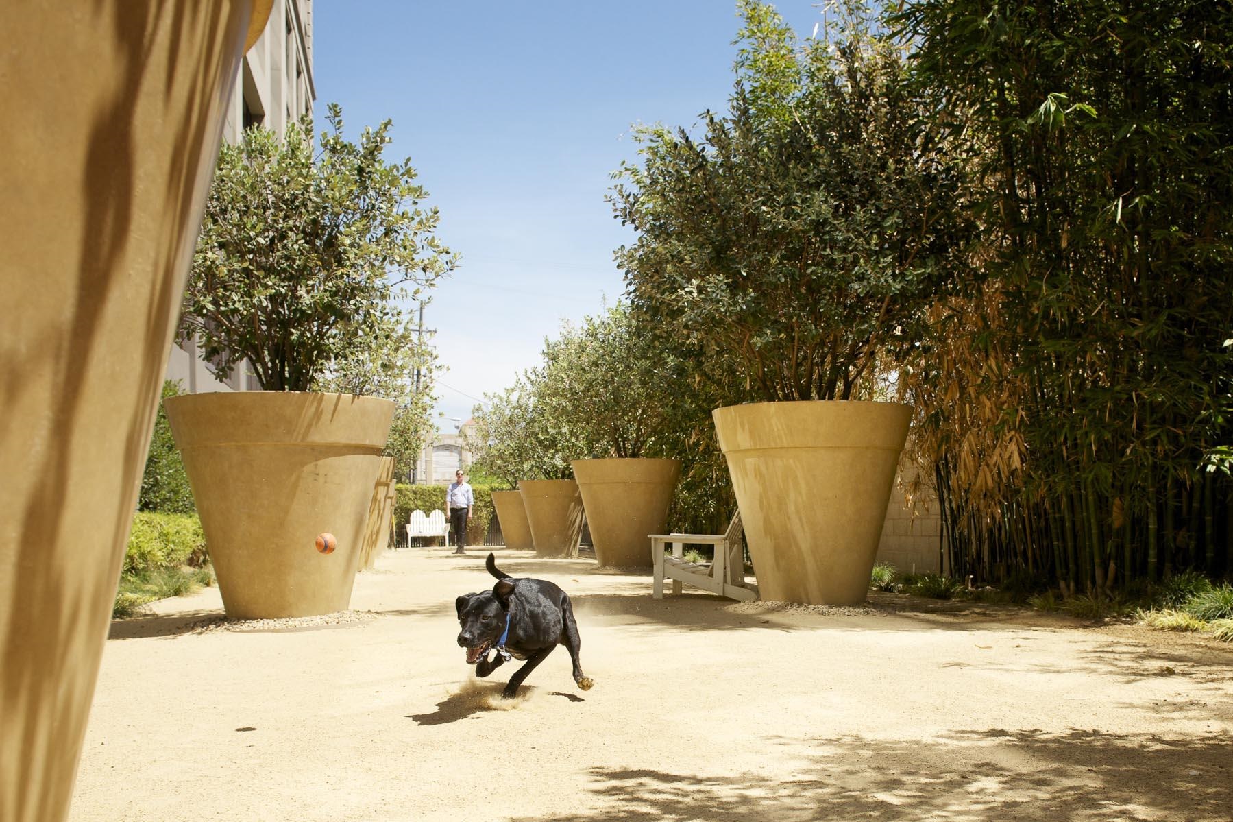 Photo #26: 41121923 Listing: Photo #26