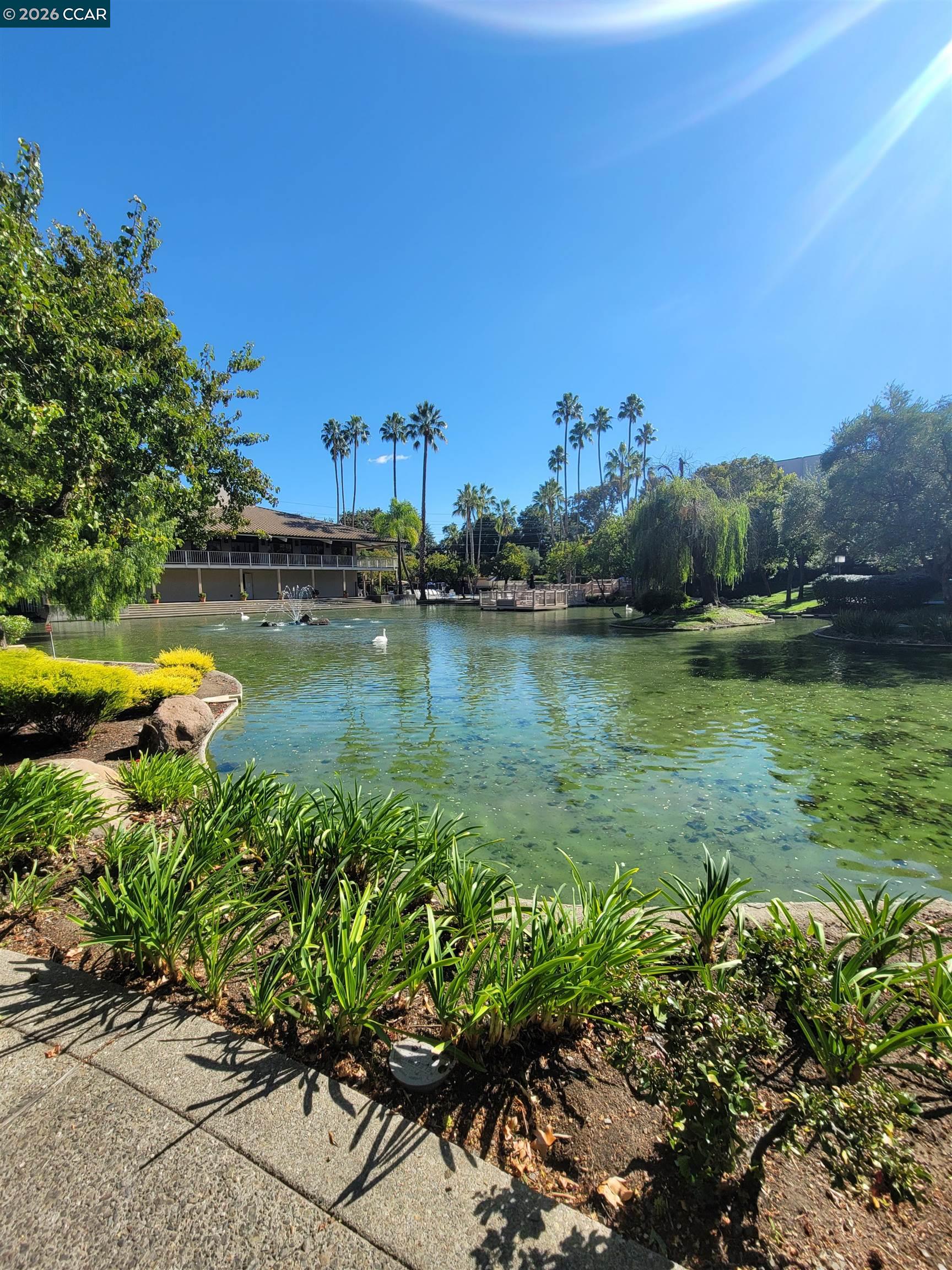 Photo #2: 41121933 Listing: Photo #2