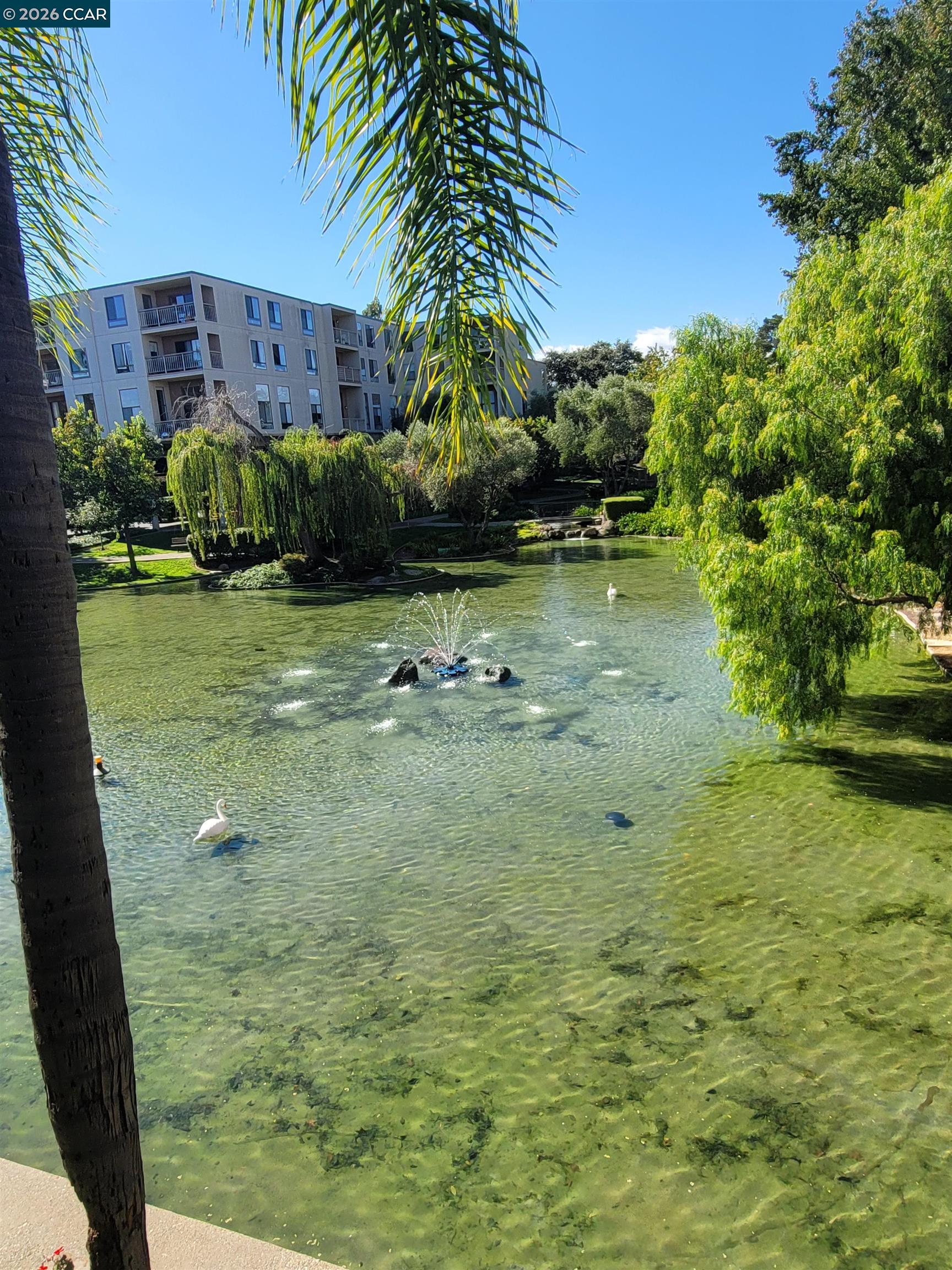 Photo #14: 41121933 Listing: Photo #14