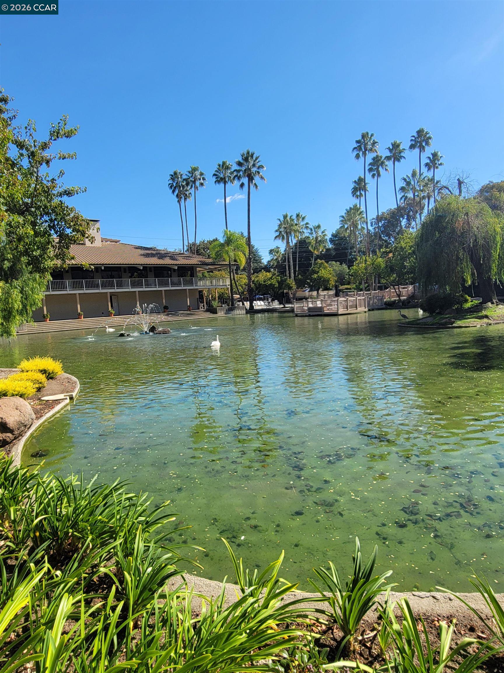 Photo #3: 41121933 Listing: Photo #3