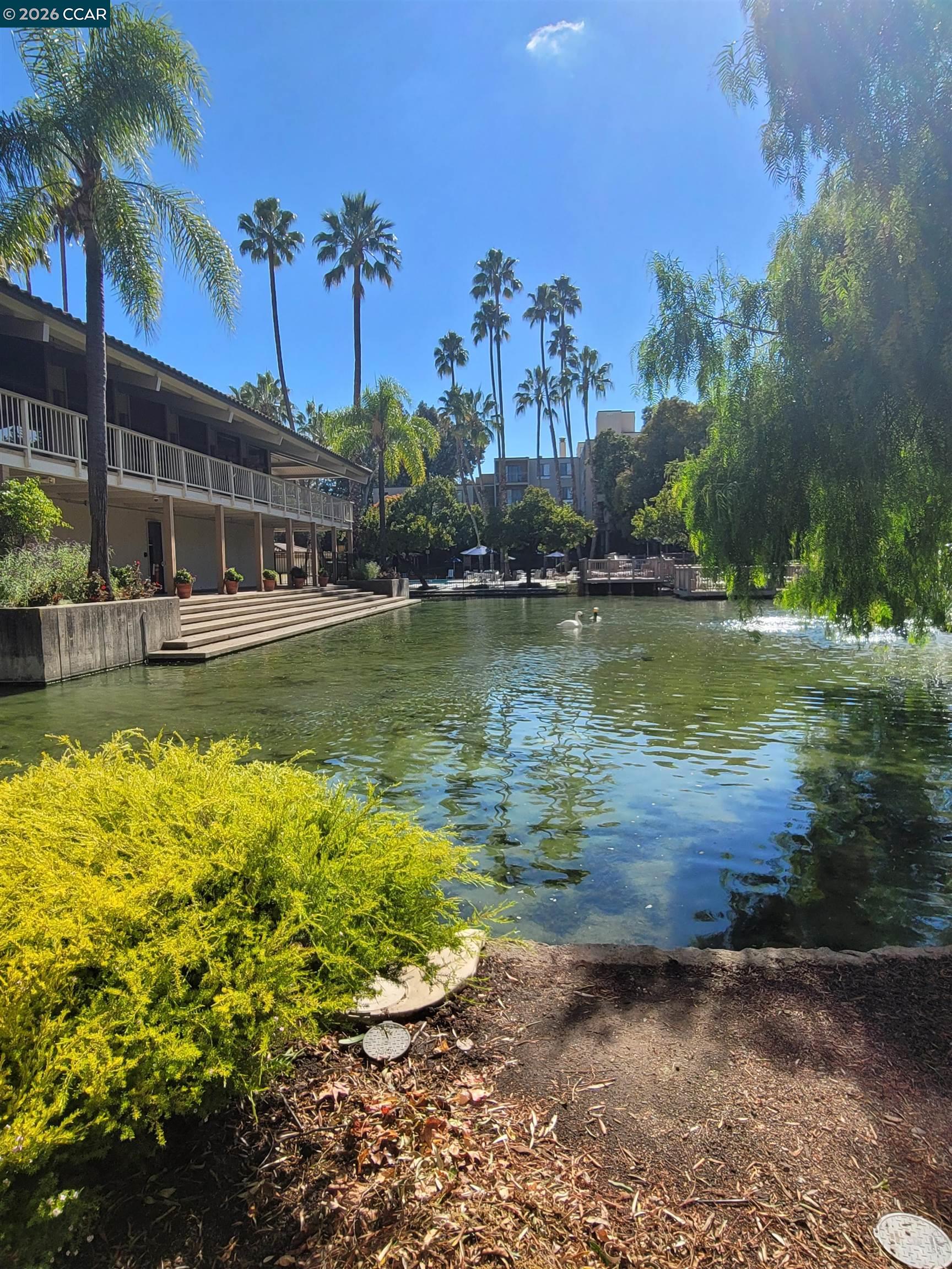 Photo #5: 41121933 Listing: Photo #5