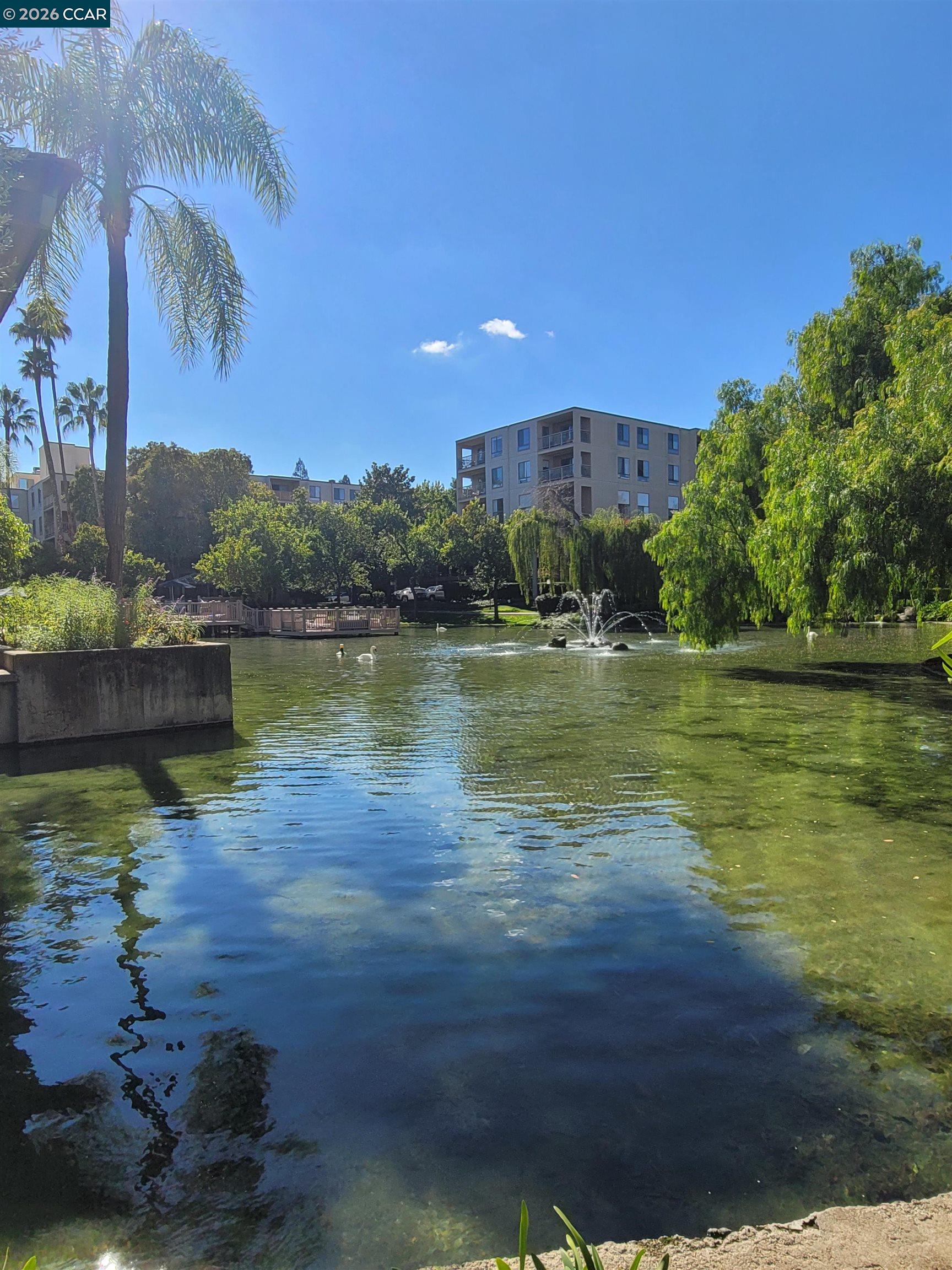 Photo #6: 41121933 Listing: Photo #6