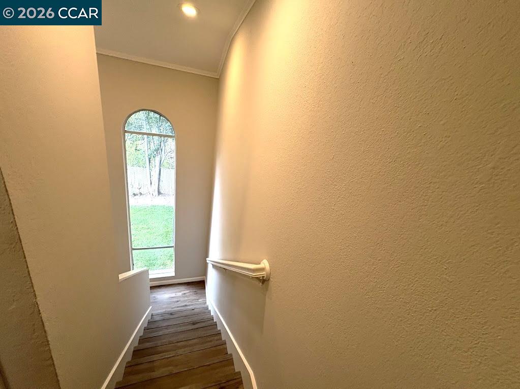 Photo #22: 41121949 Listing: Photo #22