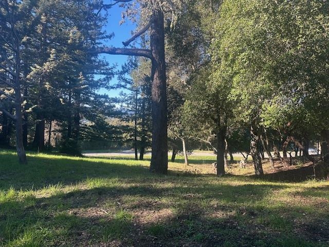 Detail Gallery Image 3 of 4 For 00 Vista Verde, Portola,  CA 94028 - – Beds | – Baths