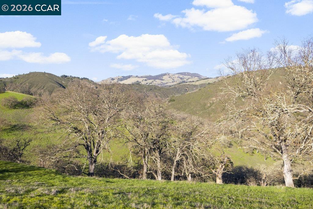 Detail Gallery Image 2 of 18 For 2300 Caballo Ranchero Dr, Diablo,  CA 94528 - – Beds | – Baths