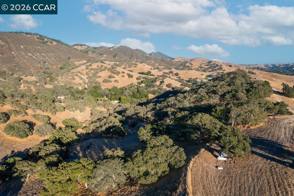 Detail Gallery Image 11 of 18 For 2300 Caballo Ranchero Dr, Diablo,  CA 94528 - – Beds | – Baths