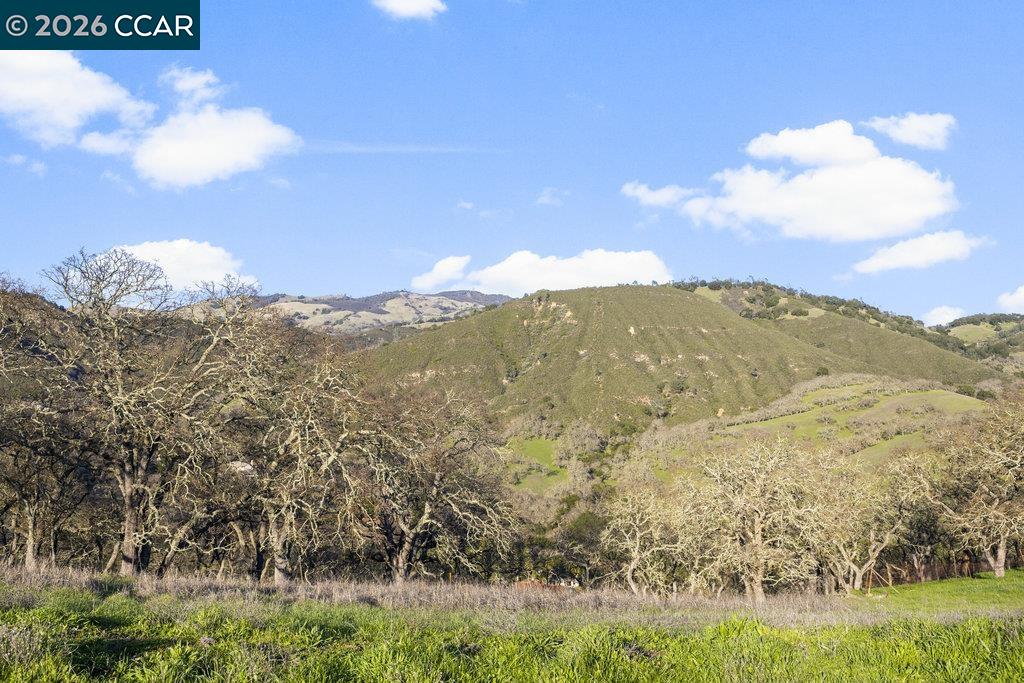 Detail Gallery Image 14 of 18 For 2300 Caballo Ranchero Dr, Diablo,  CA 94528 - – Beds | – Baths