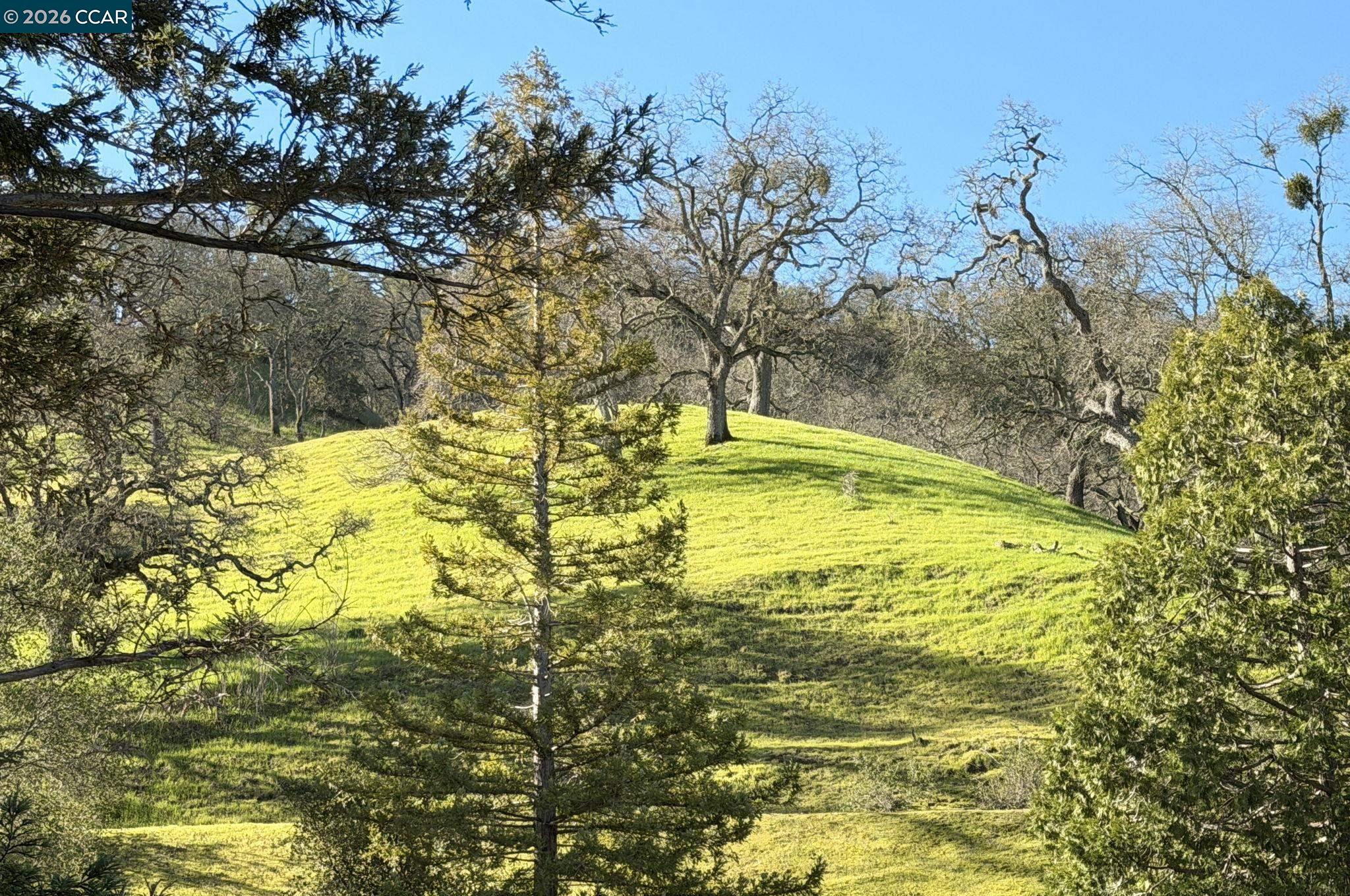 Photo #32: 41121985 Listing: Photo #32