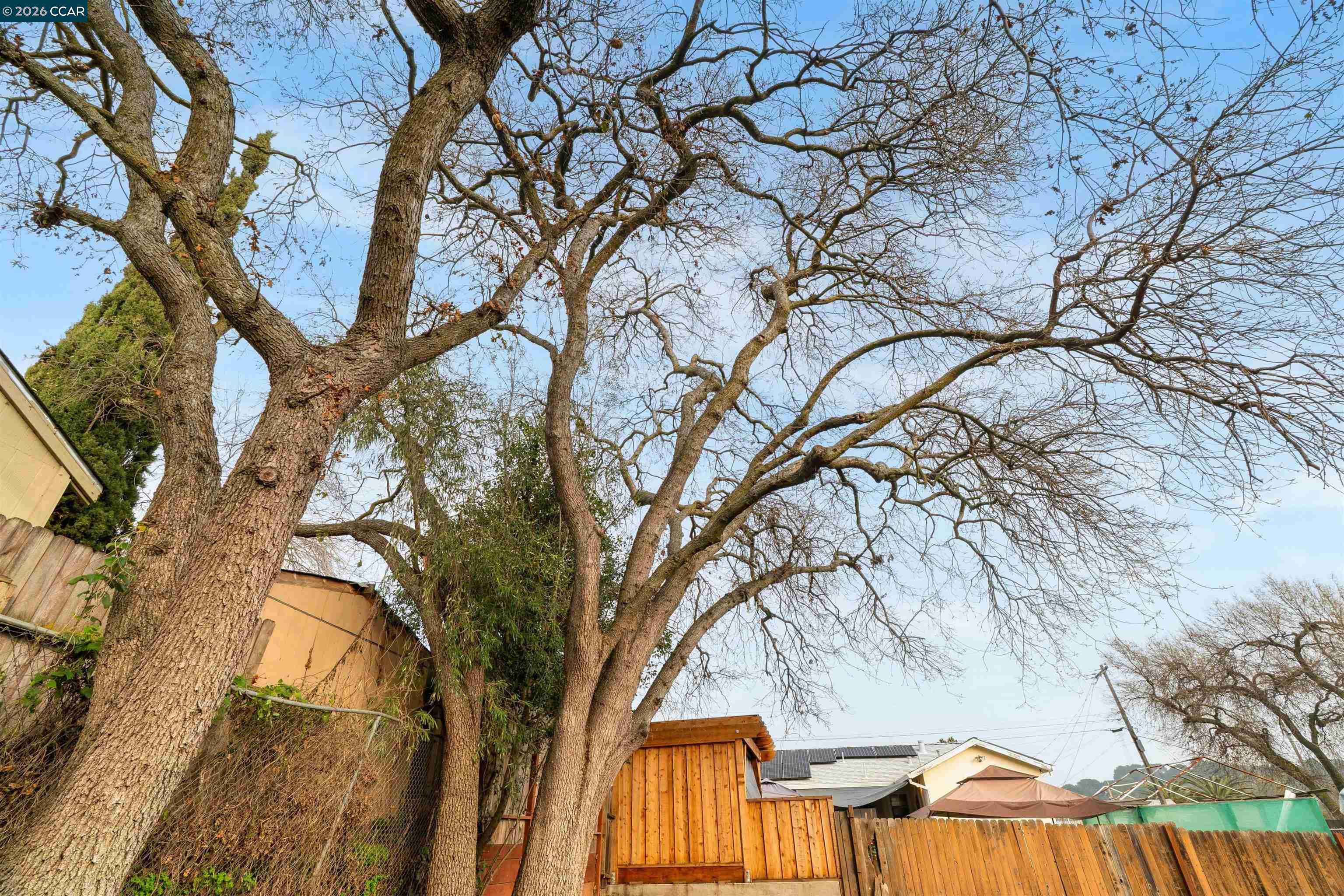 Detail Gallery Image 28 of 34 For 2831 Almond Street, Martinez,  CA 94553-5344 - 3 Beds | 2 Baths