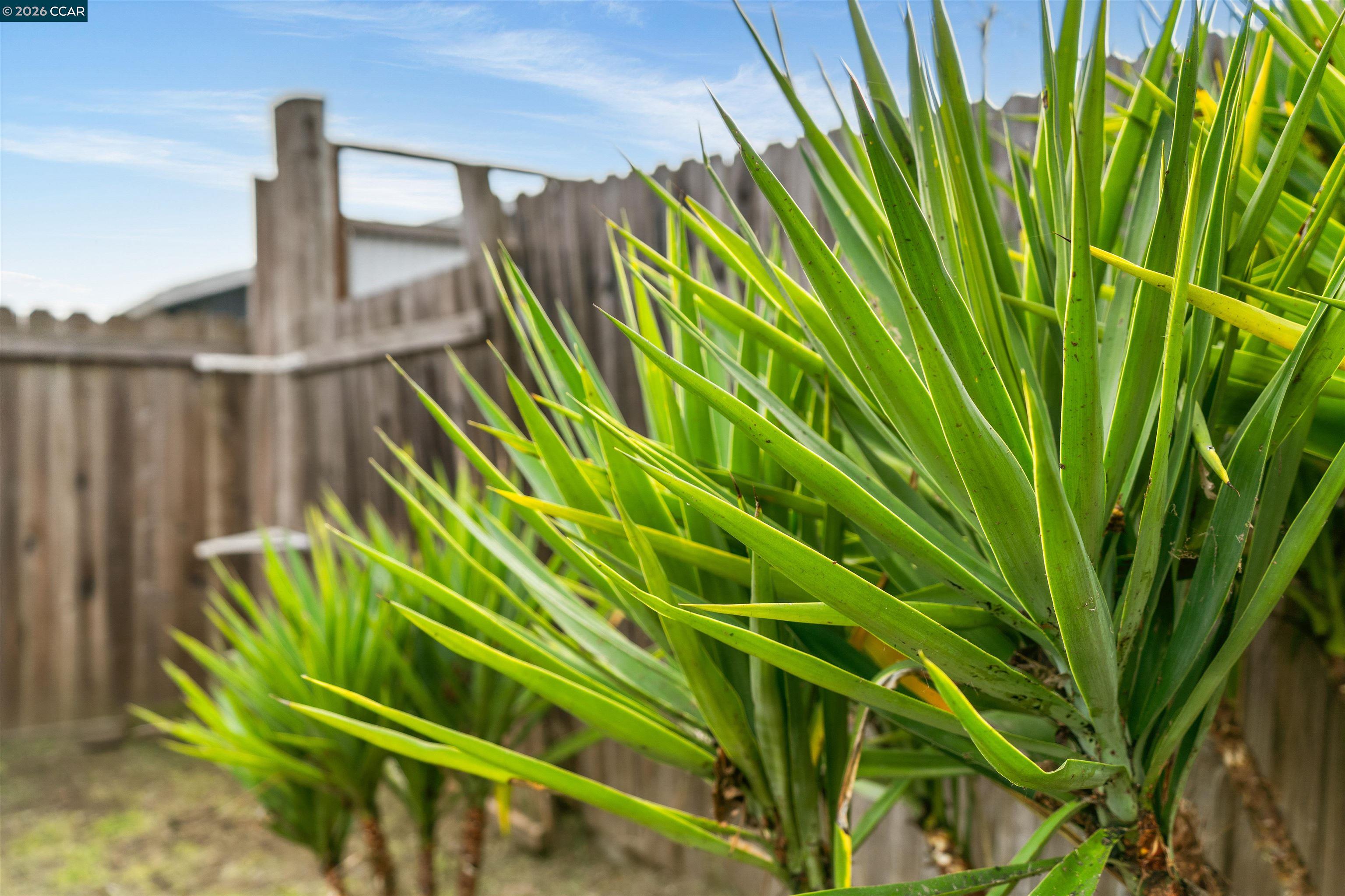 Detail Gallery Image 31 of 34 For 2831 Almond Street, Martinez,  CA 94553-5344 - 3 Beds | 2 Baths