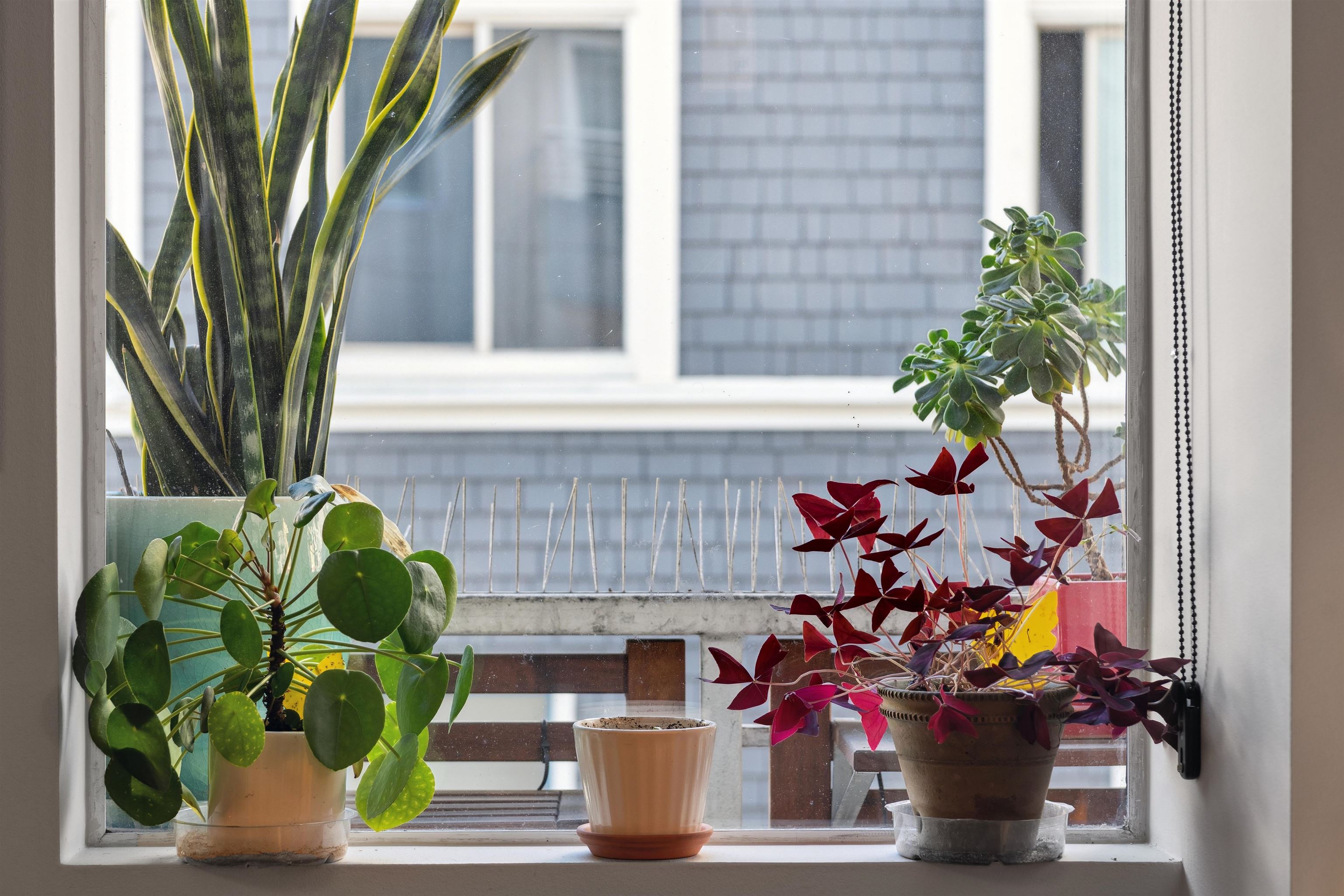 Detail Gallery Image 14 of 21 For 81 Frank Norris Place #303,  San Francisco,  CA 94109 - 1 Beds | 1 Baths