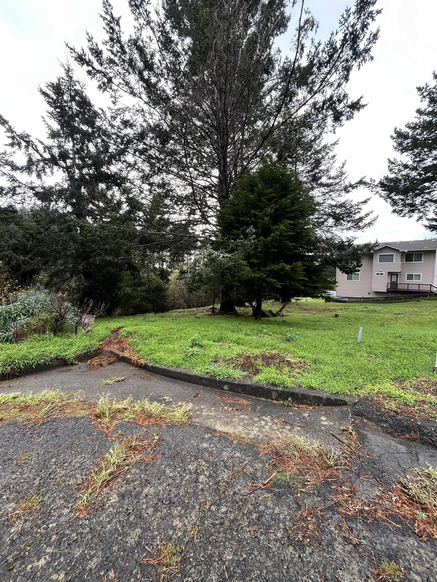 Detail Gallery Image 3 of 6 For 22 Spruce Ct, Whitethorn,  CA 95589 - – Beds | – Baths