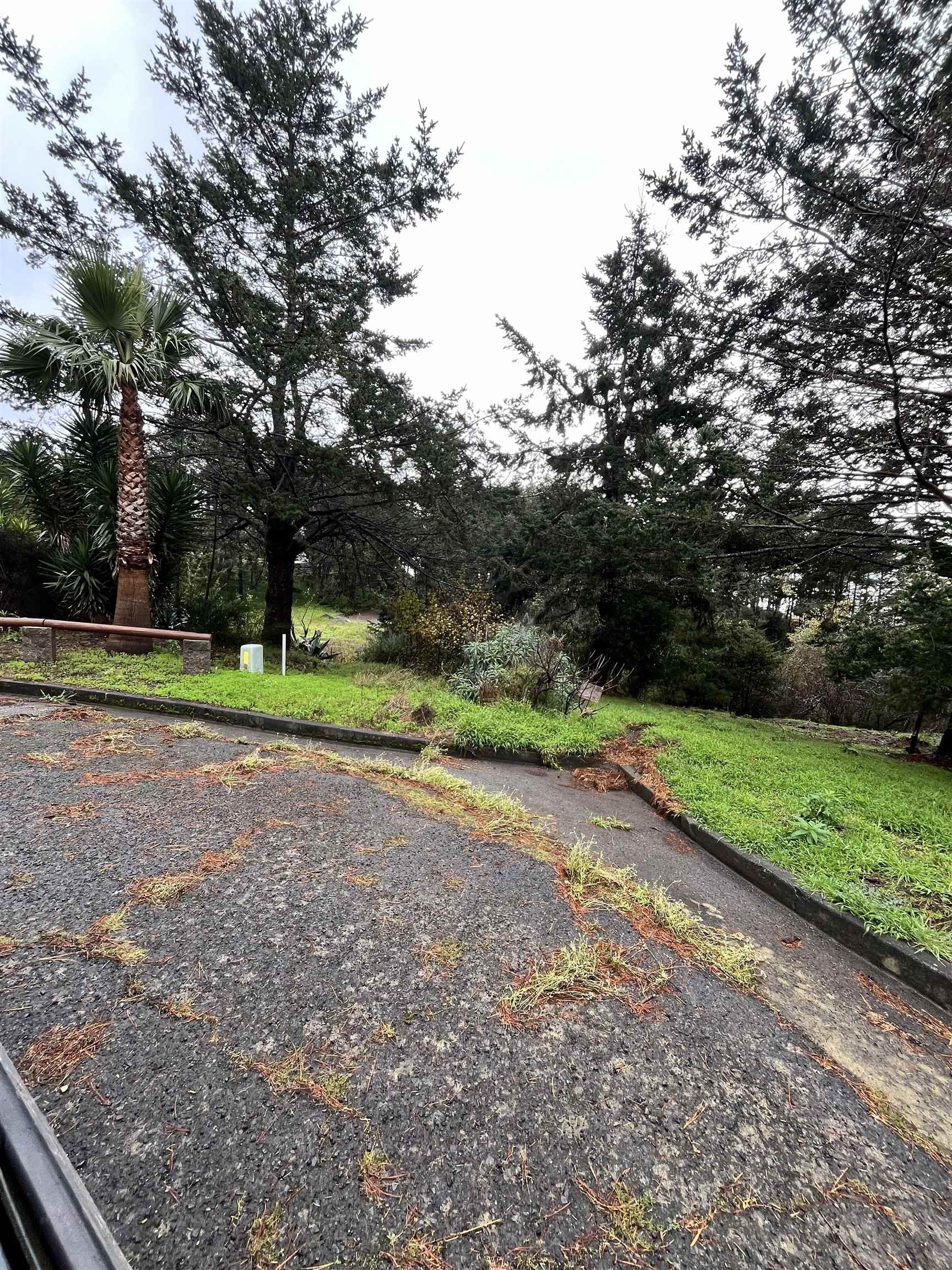 Detail Gallery Image 4 of 6 For 22 Spruce Ct, Whitethorn,  CA 95589 - – Beds | – Baths