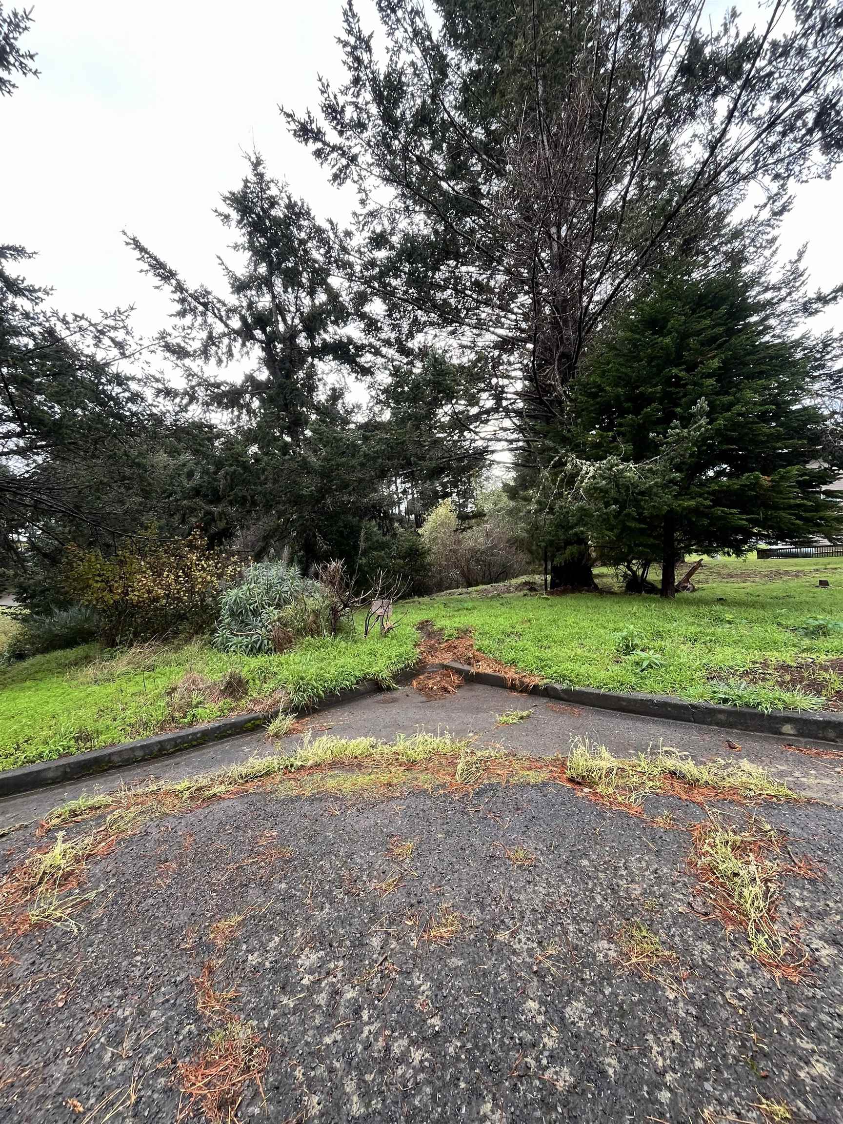 Detail Gallery Image 5 of 6 For 22 Spruce Ct, Whitethorn,  CA 95589 - – Beds | – Baths