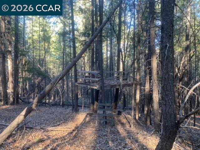 Detail Gallery Image 11 of 14 For 9471 Wildcat Rd, –,  CA 95451 - – Beds | – Baths