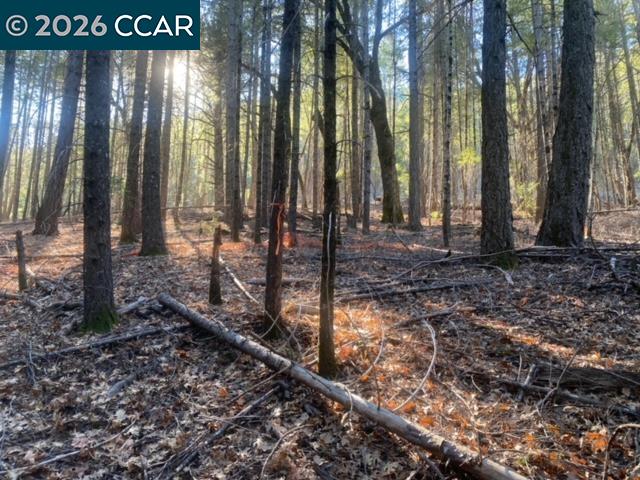 Detail Gallery Image 12 of 14 For 9471 Wildcat Rd, –,  CA 95451 - – Beds | – Baths