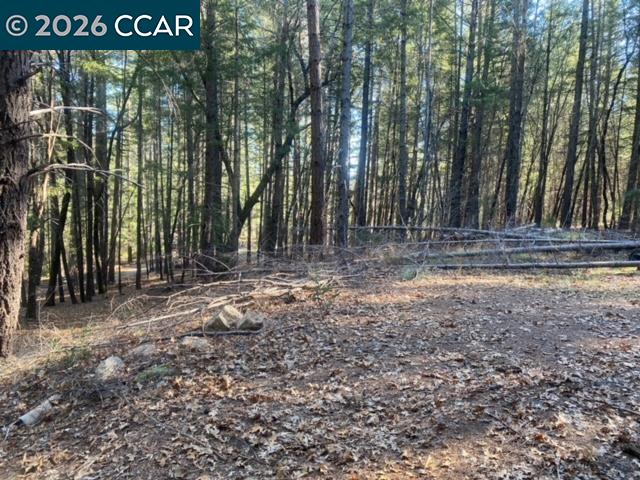 Detail Gallery Image 13 of 14 For 9471 Wildcat Rd, –,  CA 95451 - – Beds | – Baths