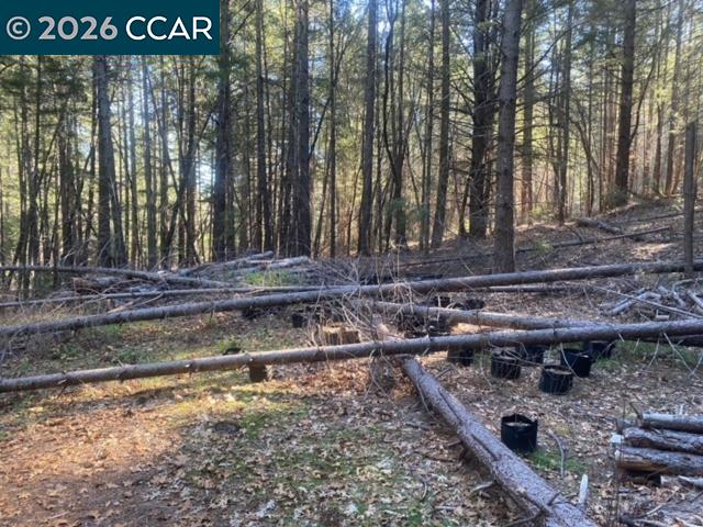 Detail Gallery Image 14 of 14 For 9471 Wildcat Rd, –,  CA 95451 - – Beds | – Baths