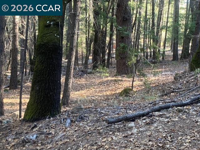 Detail Gallery Image 7 of 14 For 9471 Wildcat Rd, –,  CA 95451 - – Beds | – Baths