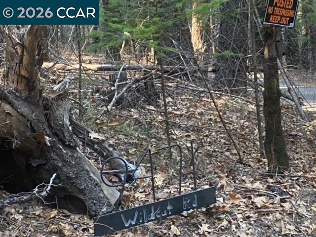 Detail Gallery Image 8 of 14 For 9471 Wildcat Rd, –,  CA 95451 - – Beds | – Baths