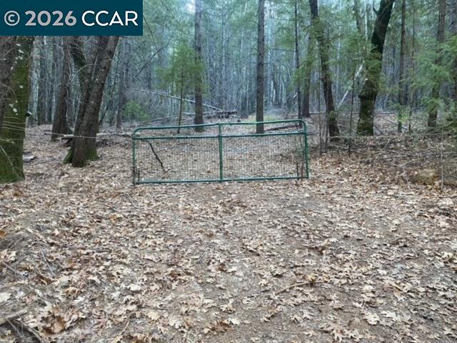 Detail Gallery Image 9 of 14 For 9471 Wildcat Rd, –,  CA 95451 - – Beds | – Baths