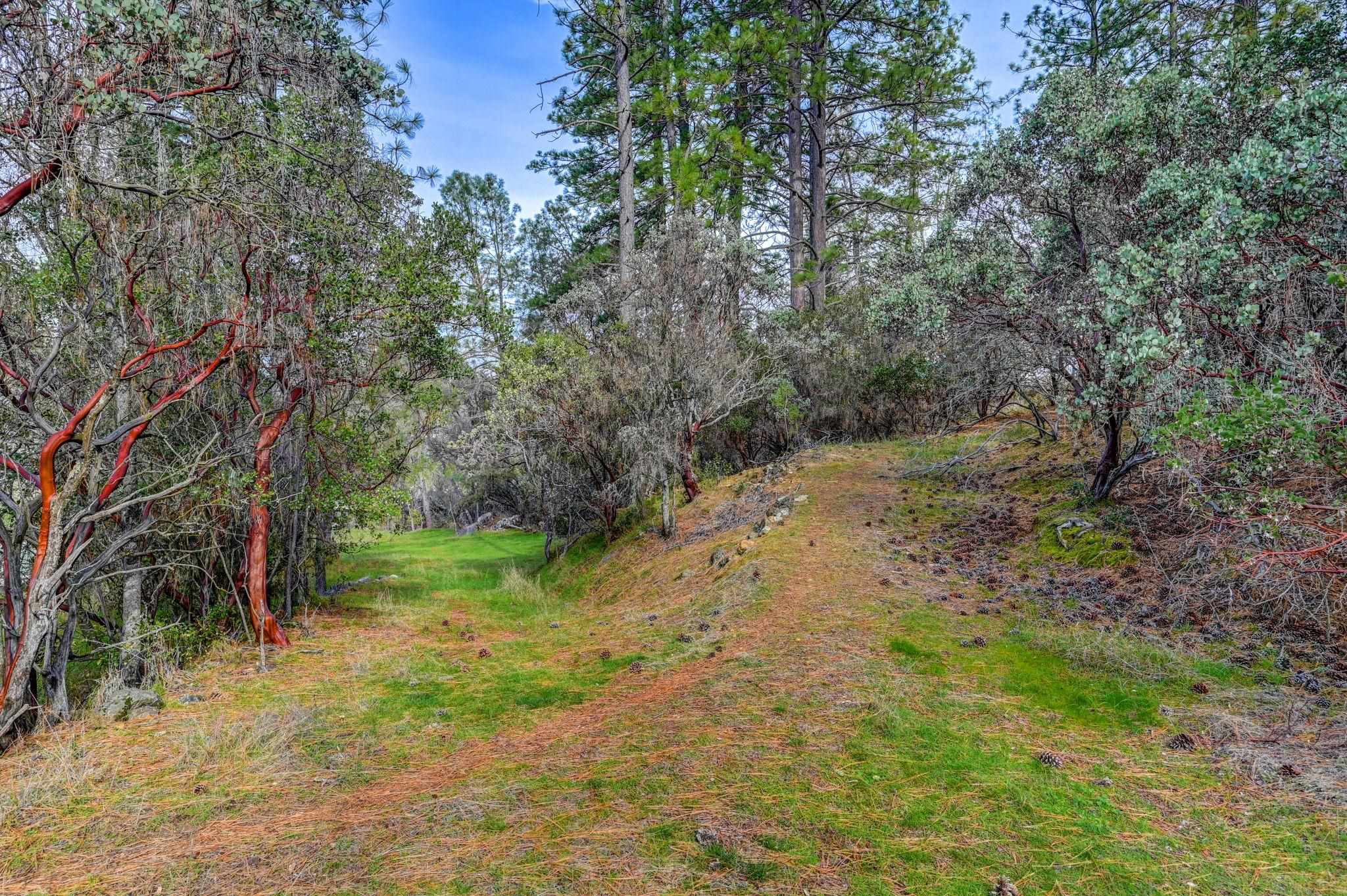 Detail Gallery Image 26 of 27 For , Columbia,  CA 95310 - – Beds | – Baths