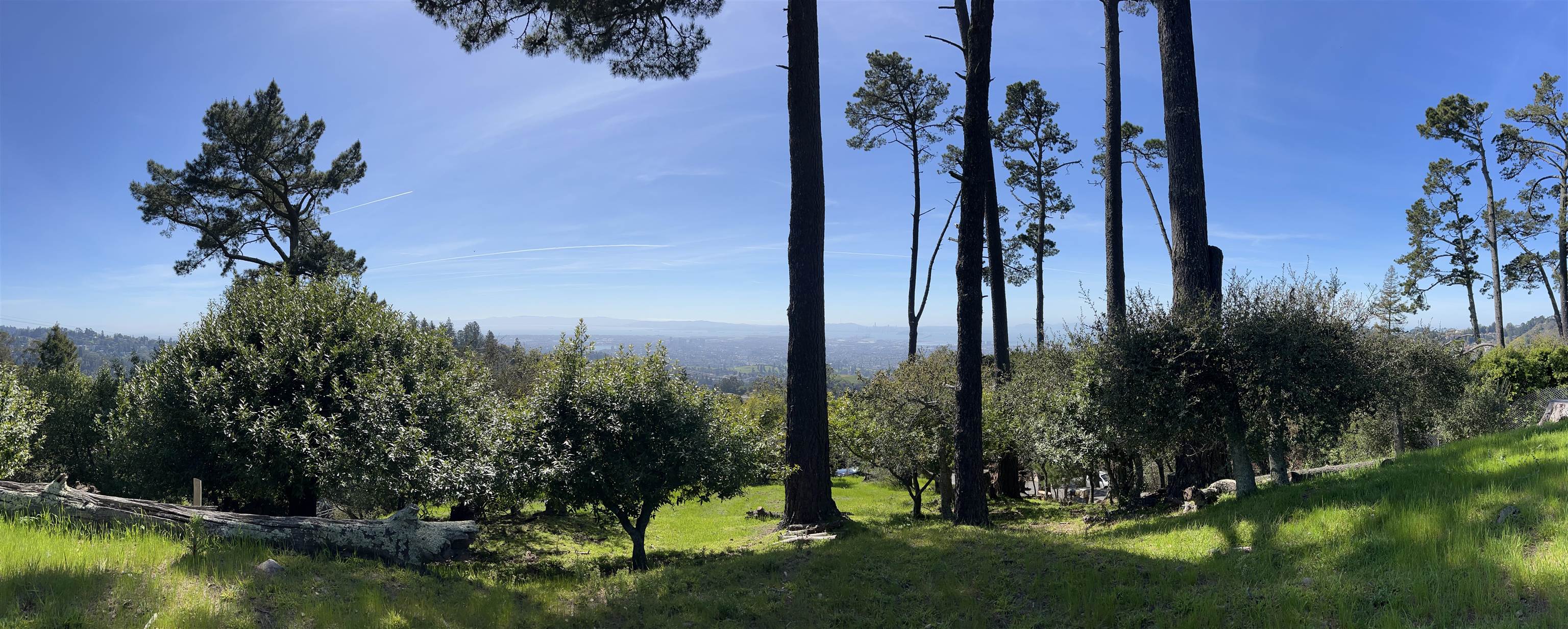 Detail Gallery Image 16 of 16 For 6108 Skyline Blvd, Oakland,  CA 94611 - – Beds | – Baths