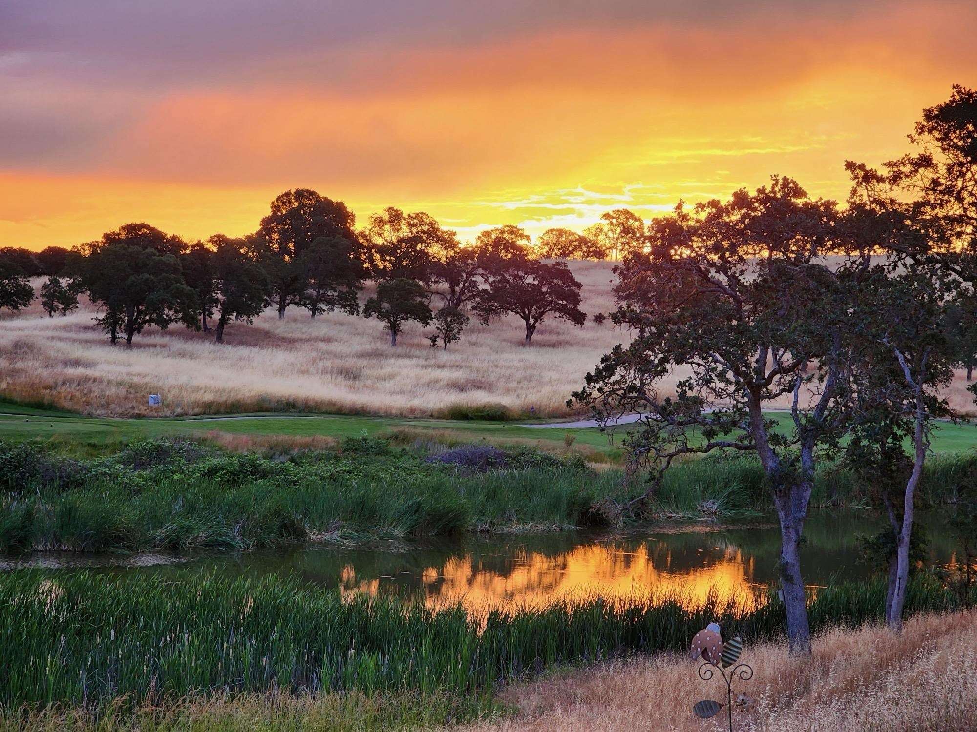 Detail Gallery Image 5 of 47 For 352 Mitchell Lake Ln, Copperopolis,  CA 95228 - 3 Beds | 2 Baths