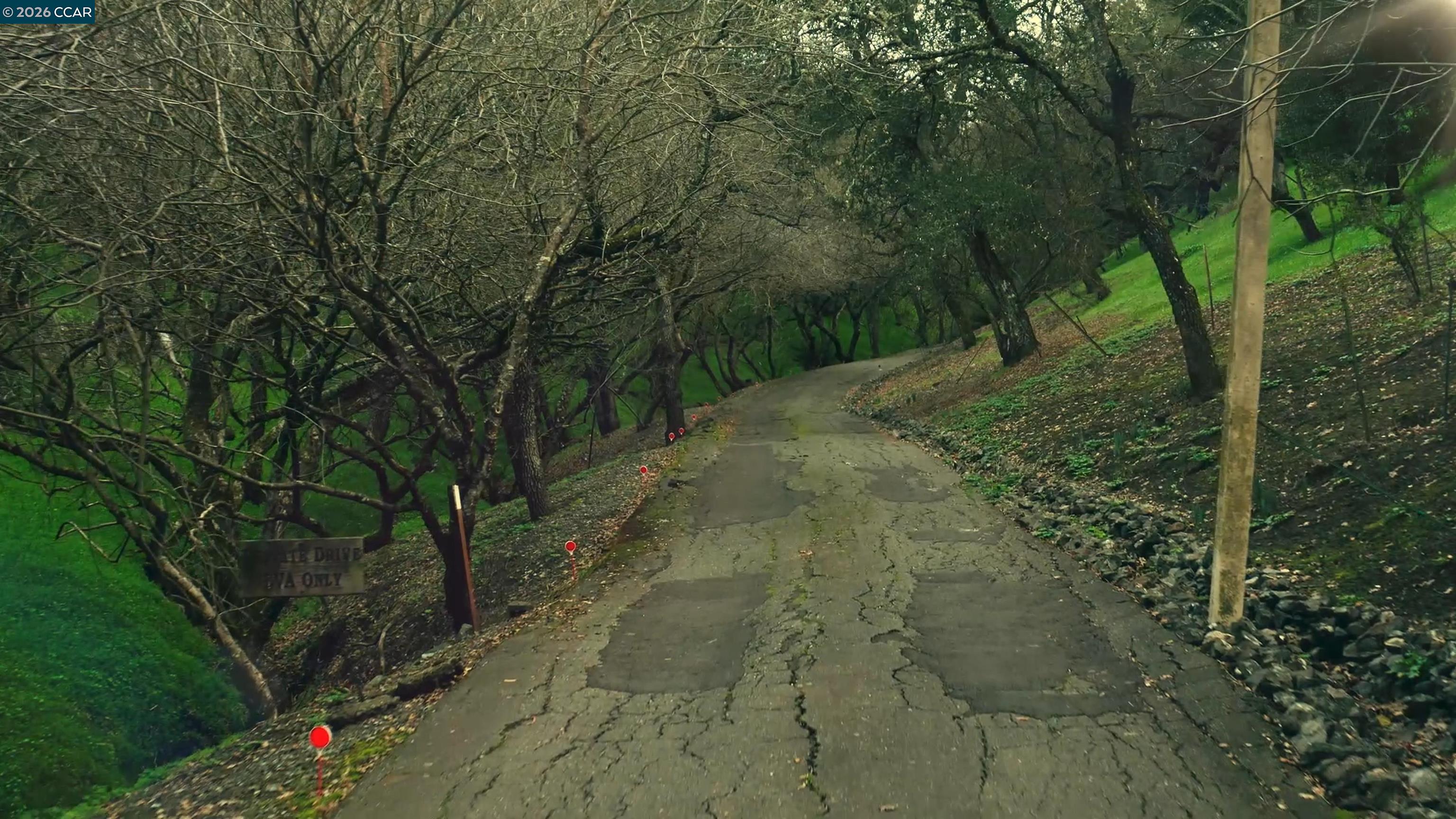 Detail Gallery Image 20 of 23 For 100 Los Balcones, Alamo,  CA 94507 - 5 Beds | 3/1 Baths