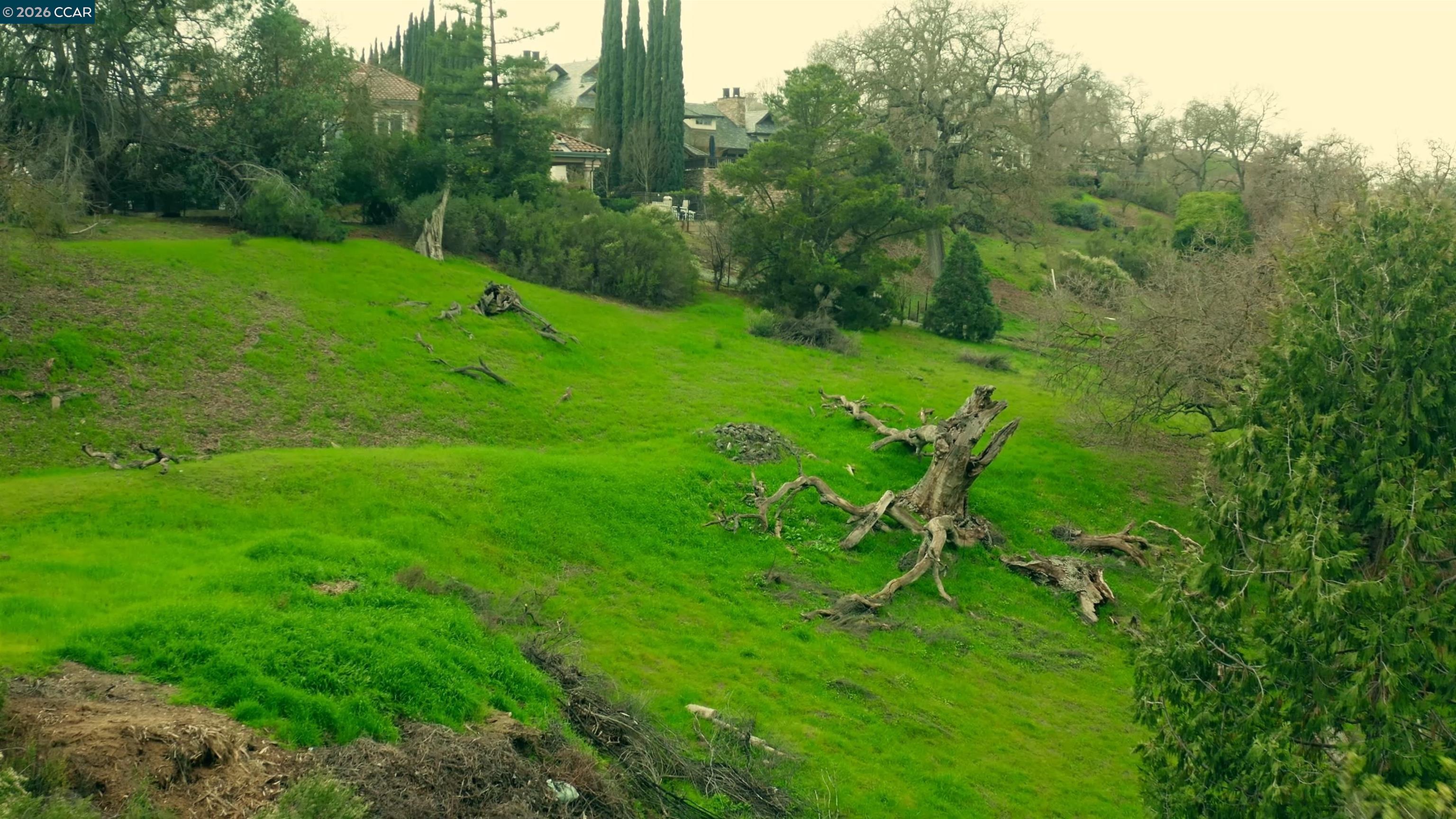 Detail Gallery Image 10 of 23 For 100 Los Balcones, Alamo,  CA 94507 - 5 Beds | 3/1 Baths